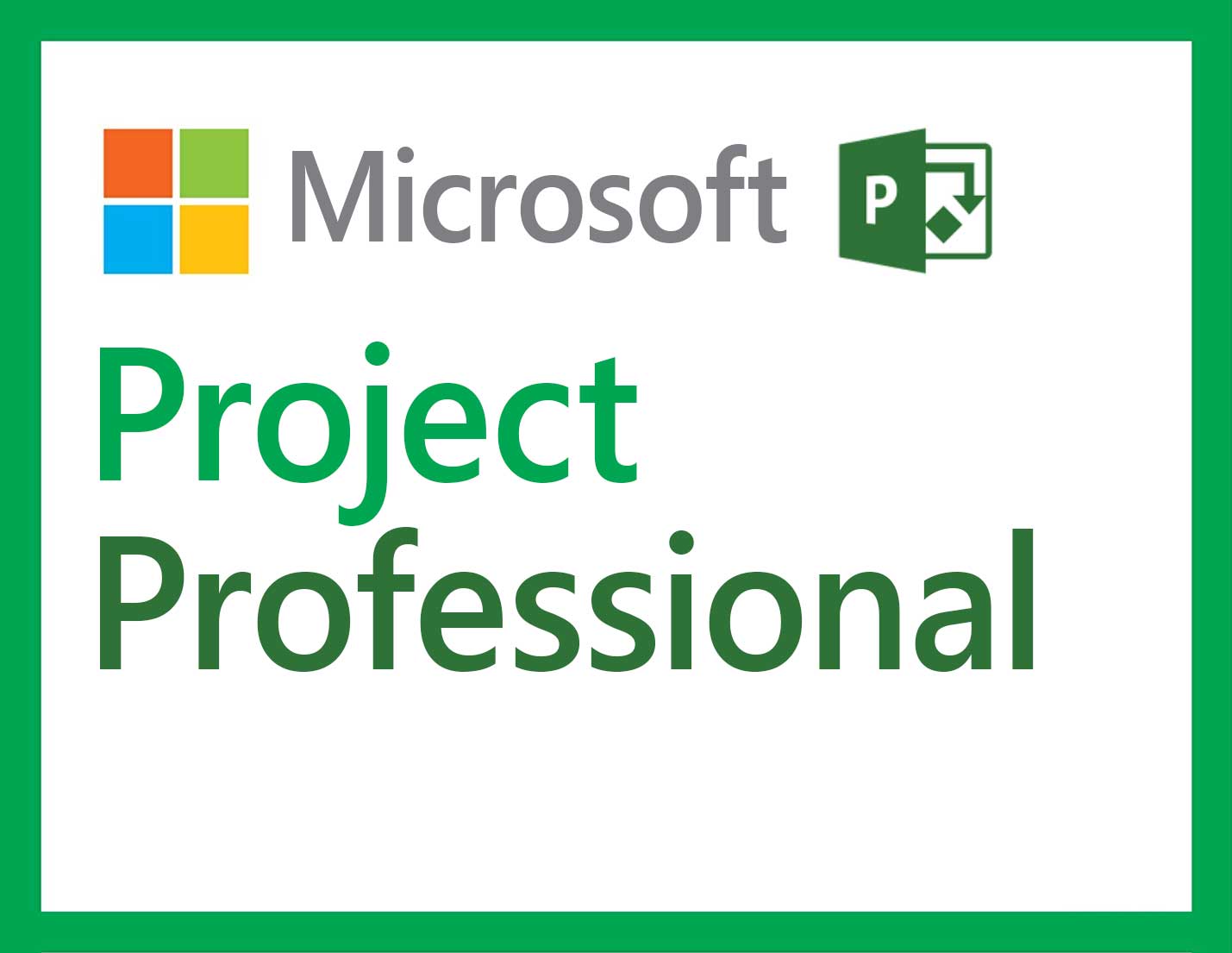 Nur MS Project Professionalt hat die vollständige Funktionalität