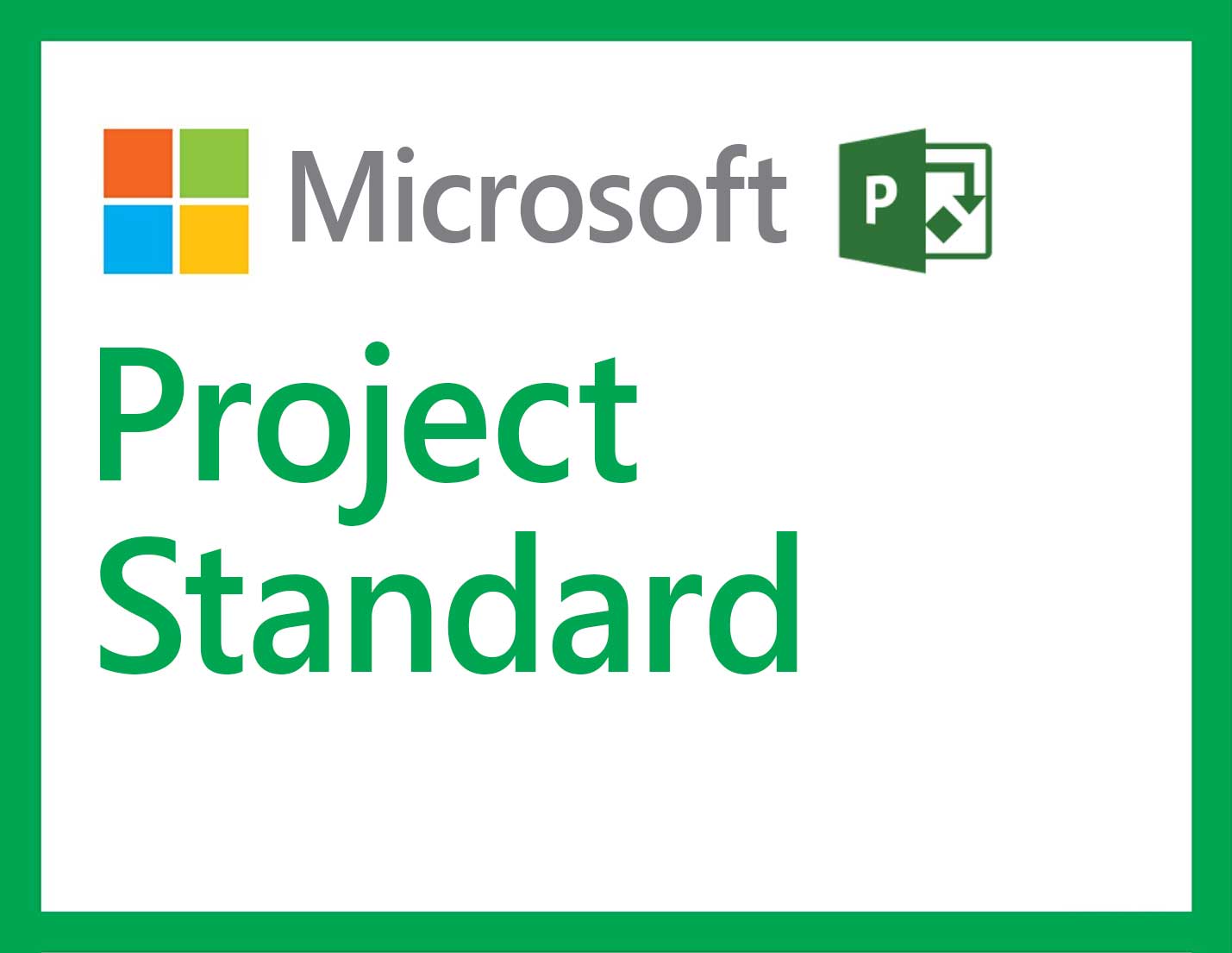 MS Project Standard