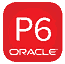 Oracle Primavera P6 EPPM Training
